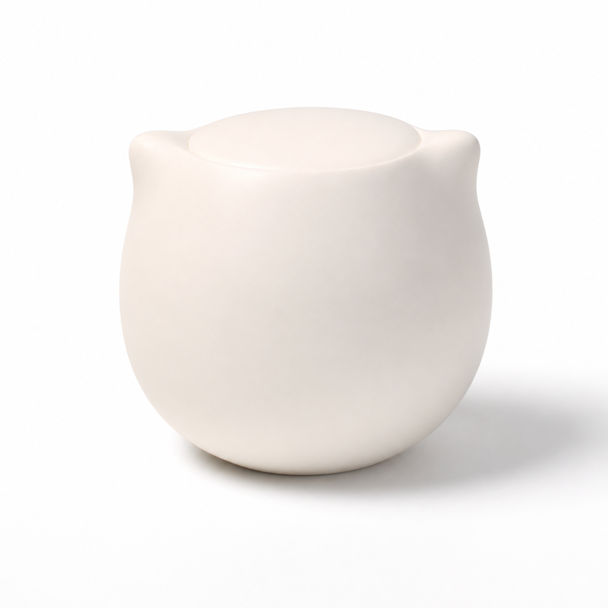 Aster Pet Portrait Keepsake Urn